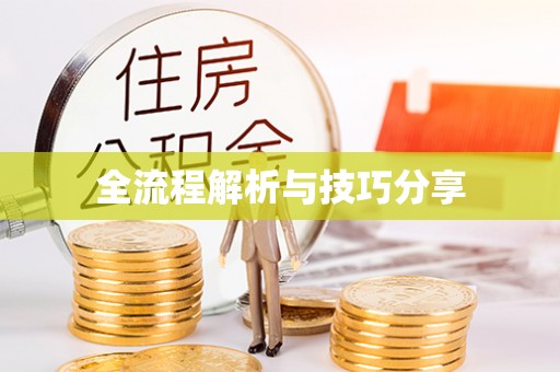 叶城全流程解析与技巧分享